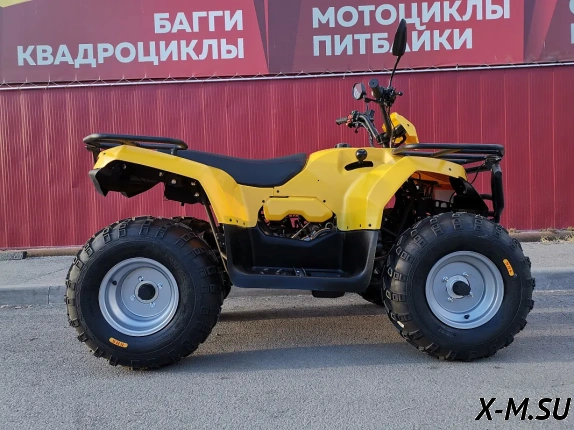 Квадроцикл IRBIS ATV 200