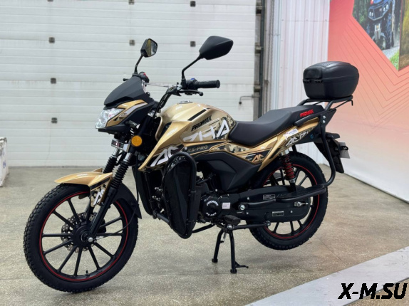 Мопед PROMAX ALPHA RS-PRO 150 (49)