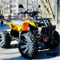 Электроквадроцикл STALKER PRO 4x4