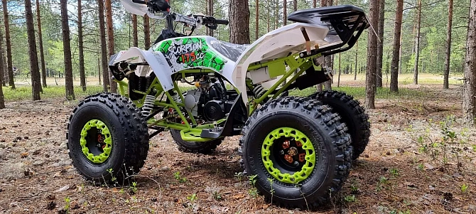 Квадроцикл PROMAX SCORPION 180