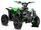 Электроквадроцикл Apollo RFZ  E-KING KONG 1000W